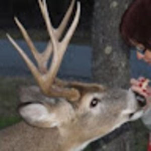 Meet your Posher, Anita